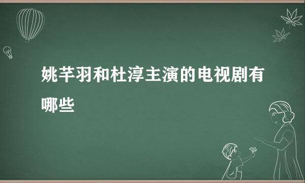 姚芊羽和杜淳主演的电视剧有哪些