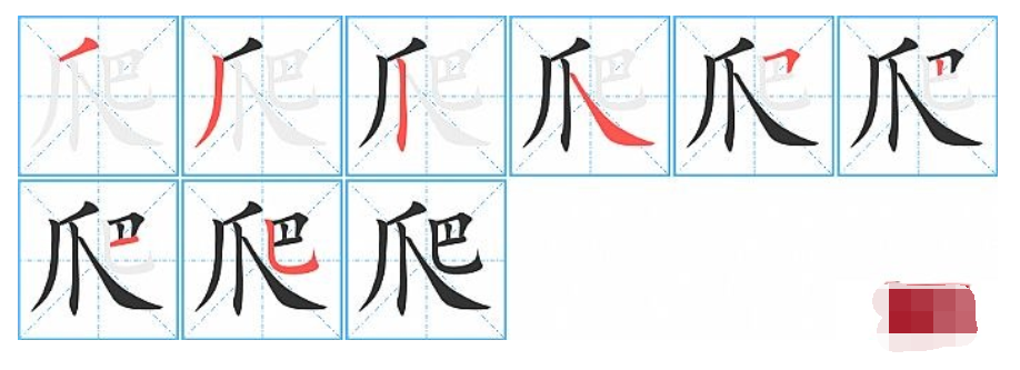 爬是什么结构的字