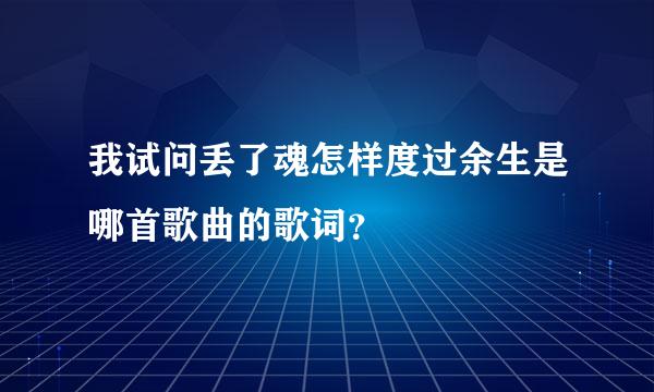 我试问丢了魂怎样度过余生是哪首歌曲的歌词？