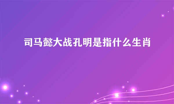 司马懿大战孔明是指什么生肖