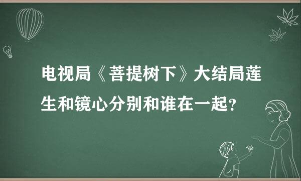 电视局《菩提树下》大结局莲生和镜心分别和谁在一起？