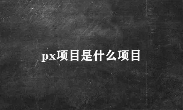 px项目是什么项目