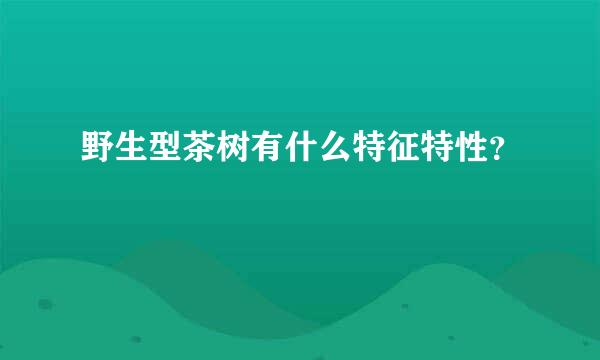 野生型茶树有什么特征特性？