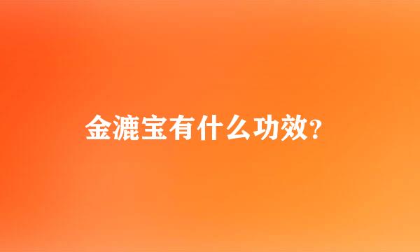 金漉宝有什么功效？