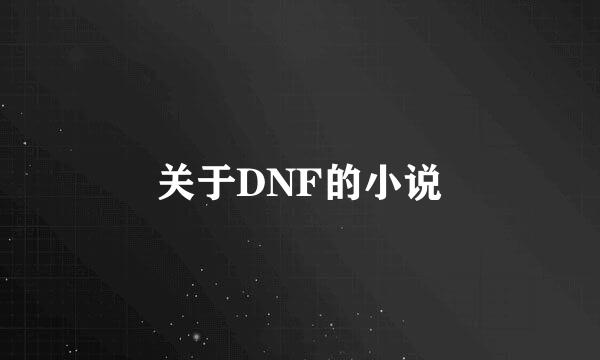 关于DNF的小说