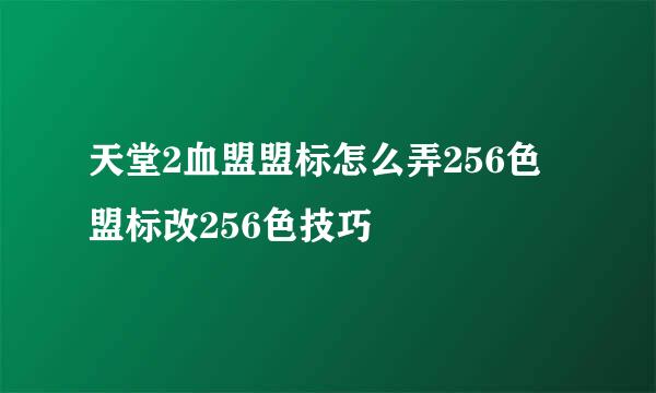 天堂2血盟盟标怎么弄256色 盟标改256色技巧