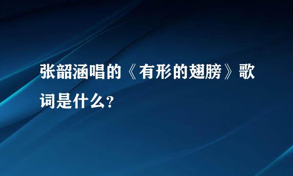 张韶涵唱的《有形的翅膀》歌词是什么？