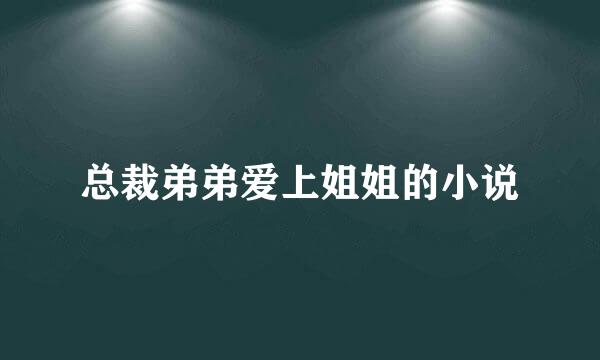 总裁弟弟爱上姐姐的小说