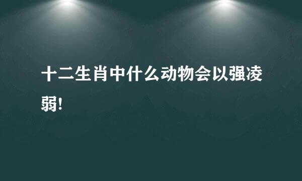 十二生肖中什么动物会以强凌弱!