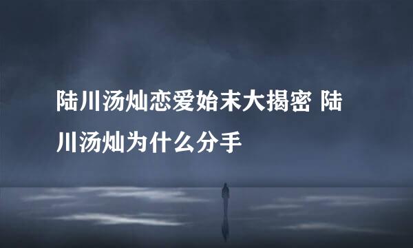 陆川汤灿恋爱始末大揭密 陆川汤灿为什么分手