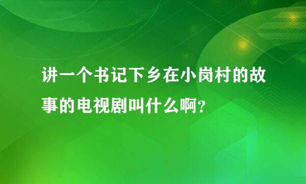 讲一个书记下乡在小岗村的故事的电视剧叫什么啊？