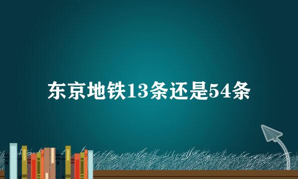 东京地铁13条还是54条