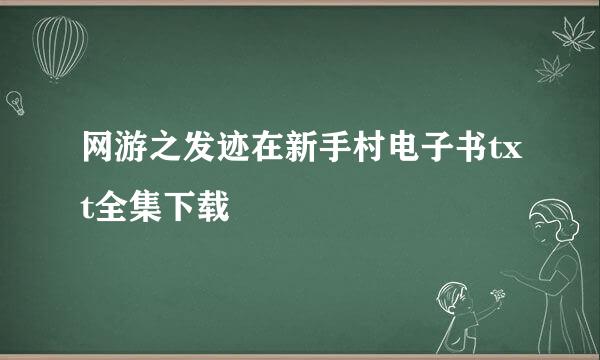 网游之发迹在新手村电子书txt全集下载