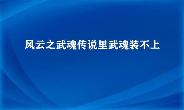 风云之武魂传说里武魂装不上