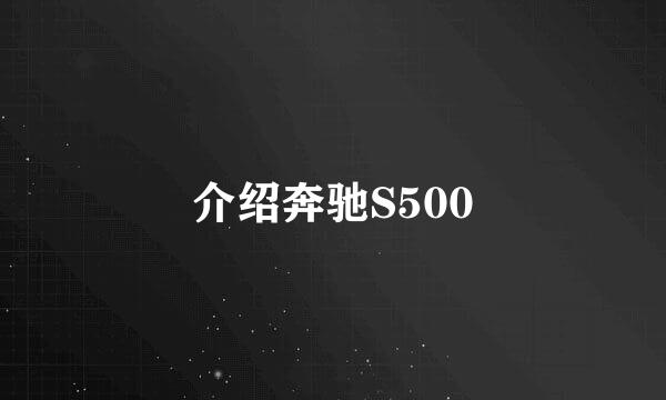 介绍奔驰S500