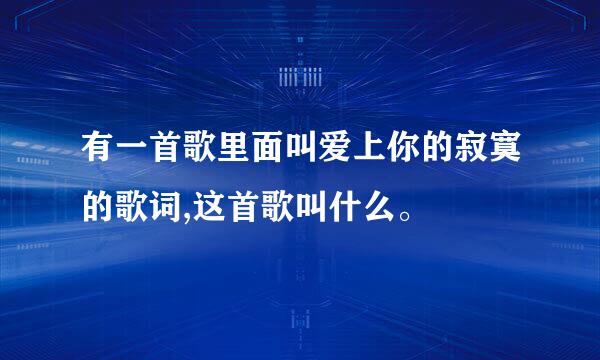 有一首歌里面叫爱上你的寂寞的歌词,这首歌叫什么。