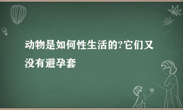 动物是如何性生活的?它们又没有避孕套