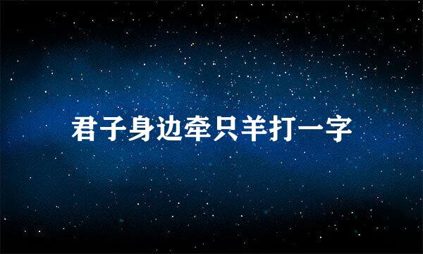 君子身边牵只羊打一字