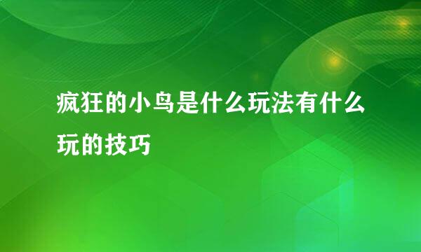 疯狂的小鸟是什么玩法有什么玩的技巧