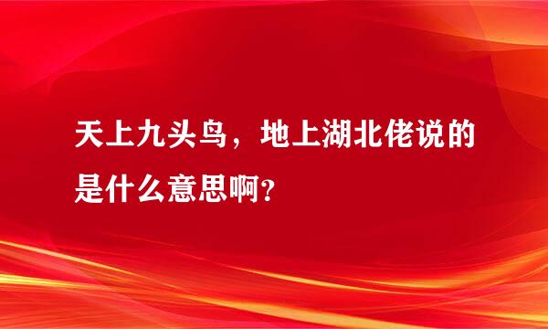 天上九头鸟，地上湖北佬说的是什么意思啊？