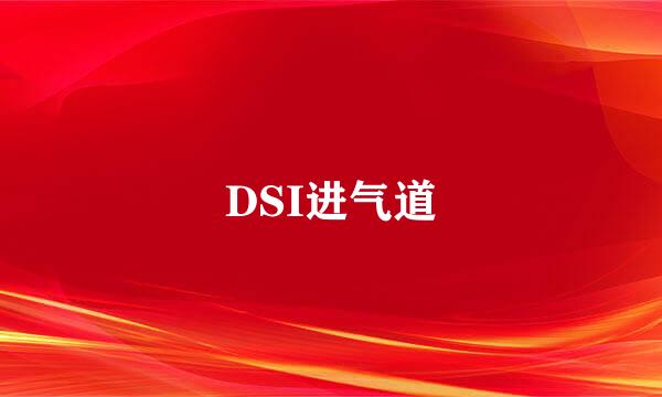 DSI进气道