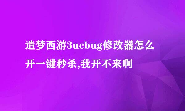 造梦西游3ucbug修改器怎么开一键秒杀,我开不来啊