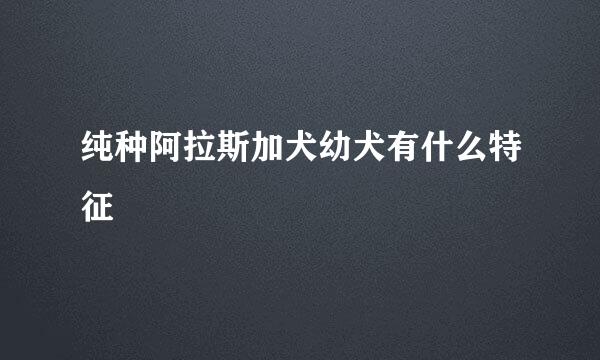 纯种阿拉斯加犬幼犬有什么特征