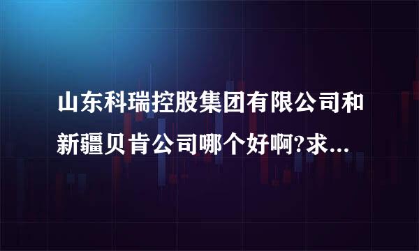 山东科瑞控股集团有限公司和新疆贝肯公司哪个好啊?求高人指点