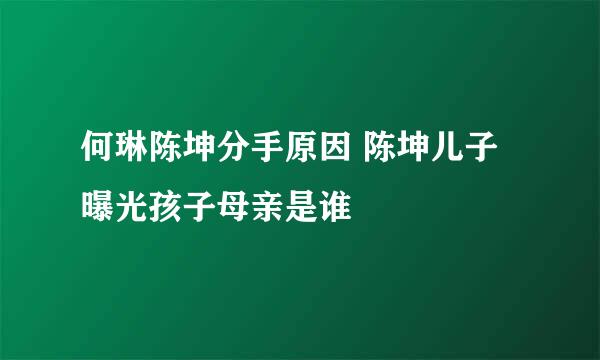 何琳陈坤分手原因 陈坤儿子曝光孩子母亲是谁