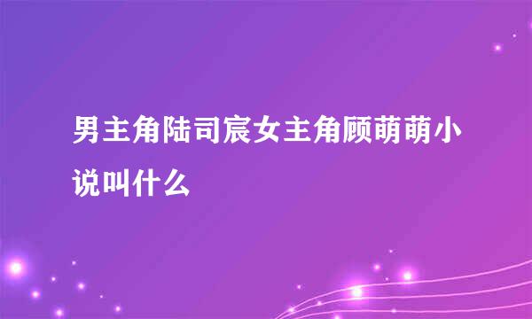 男主角陆司宸女主角顾萌萌小说叫什么