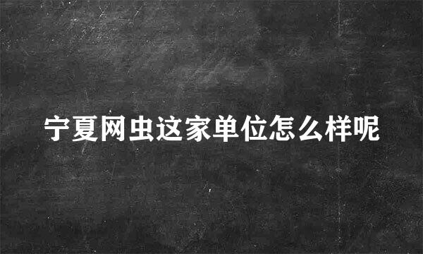 宁夏网虫这家单位怎么样呢