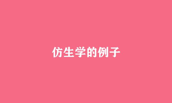 仿生学的例子