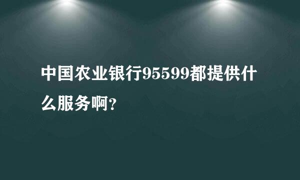 中国农业银行95599都提供什么服务啊？