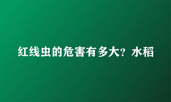 红线虫的危害有多大？水稻