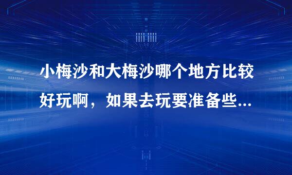 小梅沙和大梅沙哪个地方比较好玩啊，如果去玩要准备些什么东西呢？