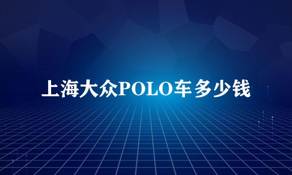 上海大众POLO车多少钱