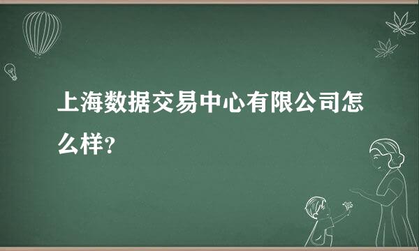 上海数据交易中心有限公司怎么样？