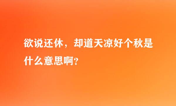 欲说还休，却道天凉好个秋是什么意思啊？