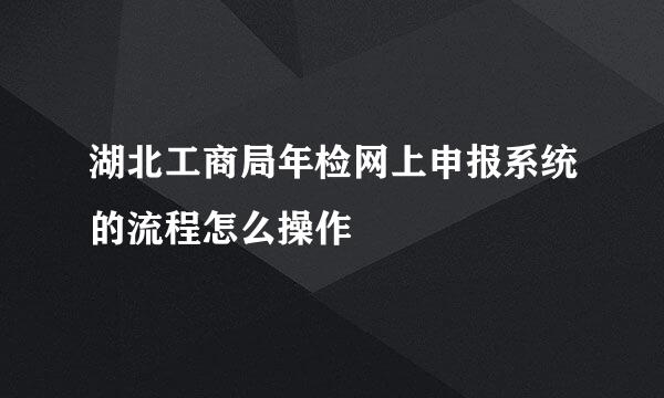 湖北工商局年检网上申报系统的流程怎么操作