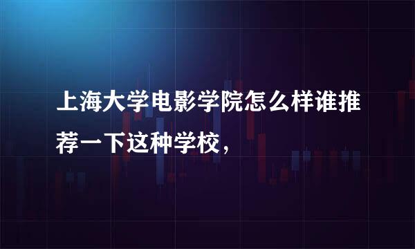 上海大学电影学院怎么样谁推荐一下这种学校，