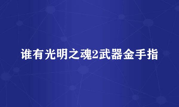 谁有光明之魂2武器金手指