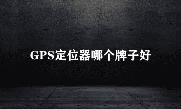 GPS定位器哪个牌子好