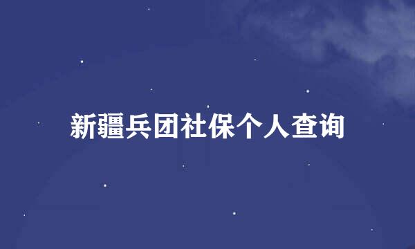 新疆兵团社保个人查询