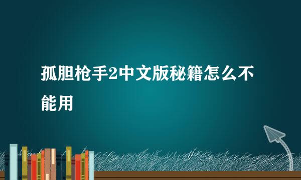 孤胆枪手2中文版秘籍怎么不能用