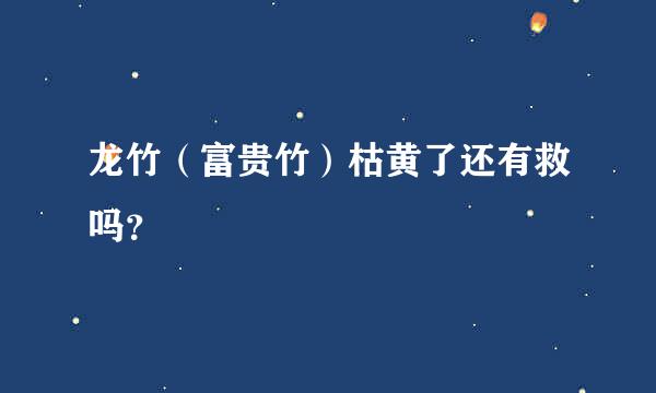 龙竹（富贵竹）枯黄了还有救吗？