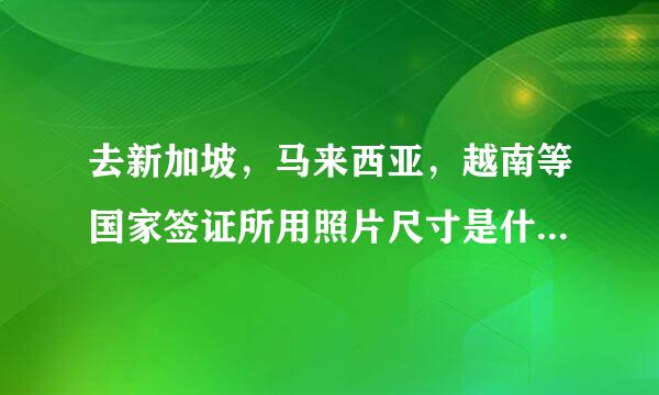 去新加坡，马来西亚，越南等国家签证所用照片尺寸是什么规格尺寸