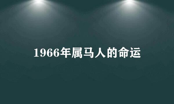 1966年属马人的命运