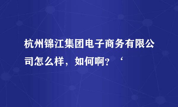 杭州锦江集团电子商务有限公司怎么样，如何啊？‘