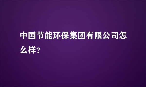 中国节能环保集团有限公司怎么样？