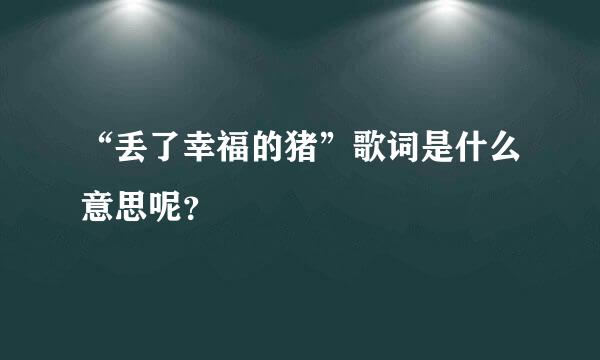 “丢了幸福的猪”歌词是什么意思呢？